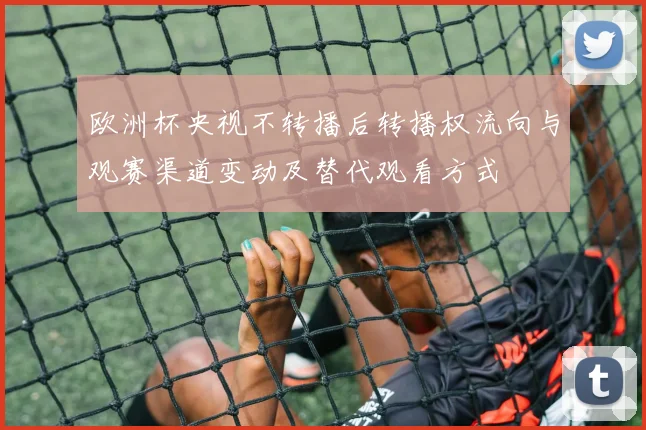 欧洲杯央视不转播后转播权流向与观赛渠道变动及替代观看方式