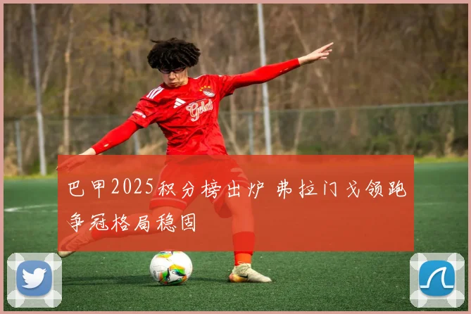 巴甲2025积分榜出炉 弗拉门戈领跑争冠格局稳固