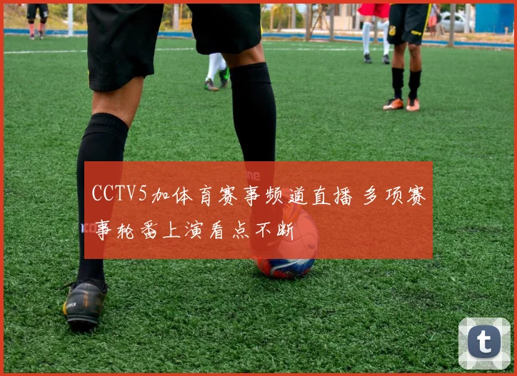 CCTV5加体育赛事频道直播 多项赛事轮番上演看点不断