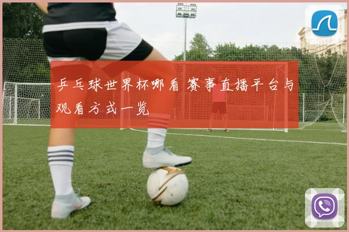 乒乓球世界杯哪看 赛事直播平台与观看方式一览
